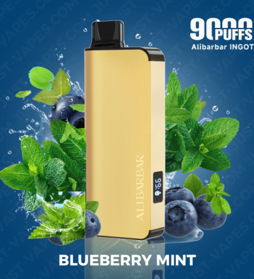 Blueberry Mint  – ALIBARBAR Ingot 9000 Puff Vape